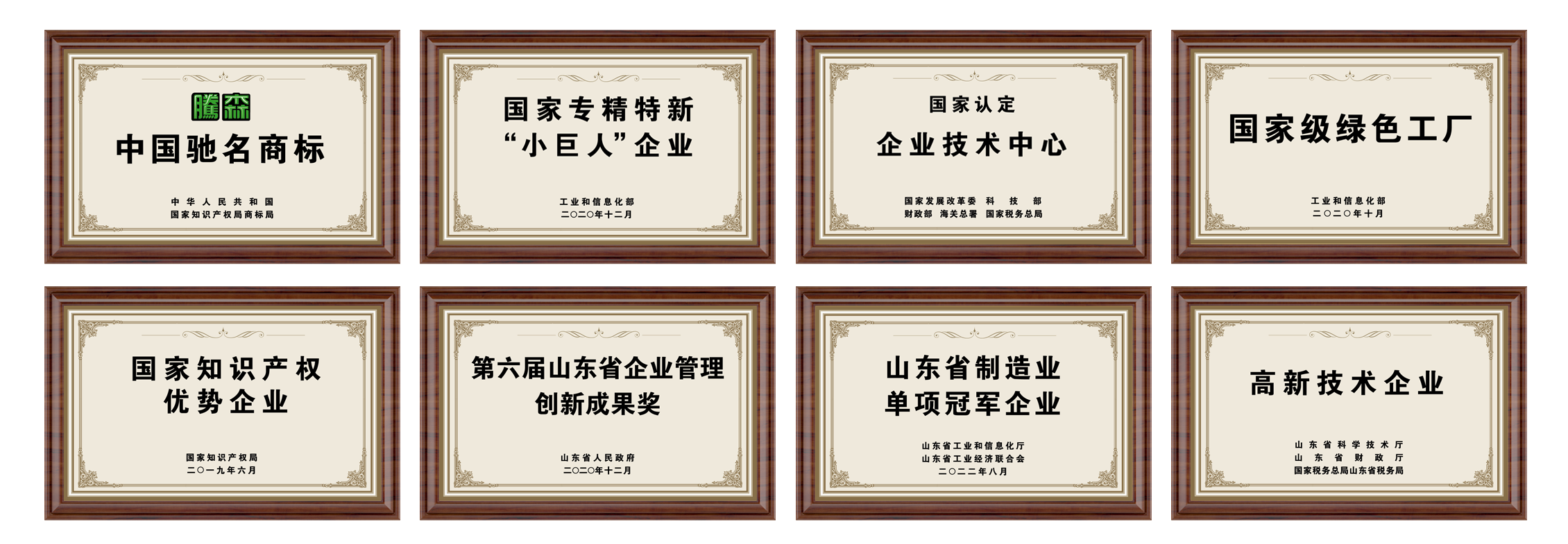 榮譽牌 新 2024.5.8.PNG